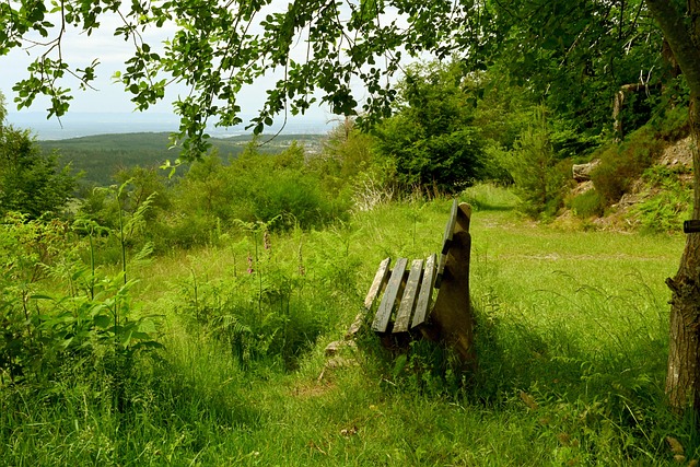 宽广的进攻 宽广的进攻