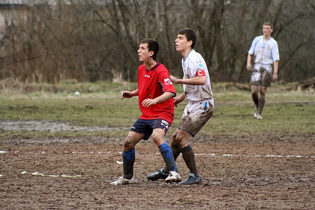 但林诗栋的 但林诗栋的