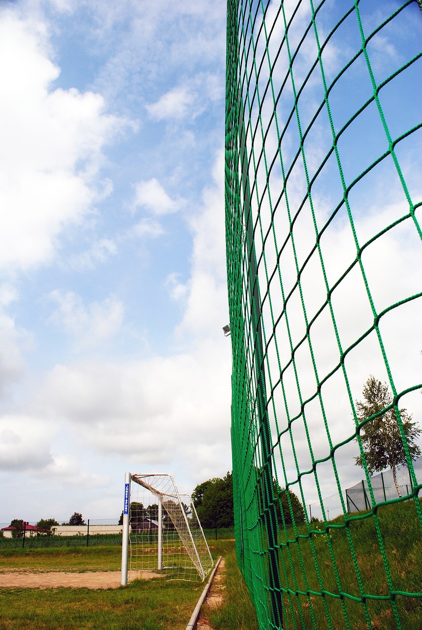 注入活力的 注入活力的