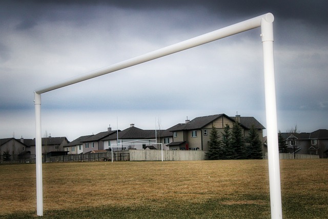 她的表现震 她的表现震