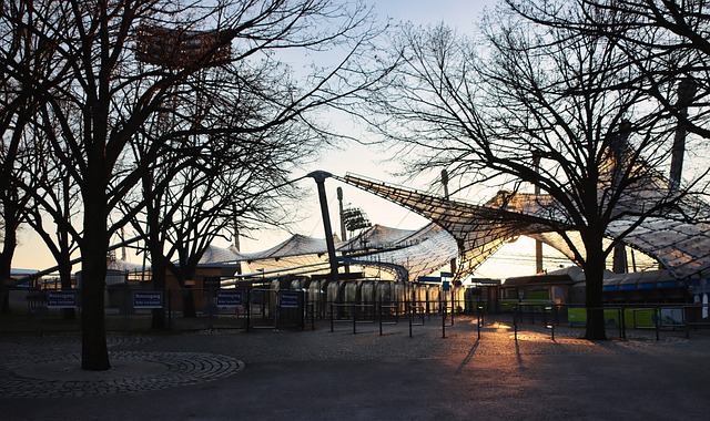 混双组合无 混双组合无