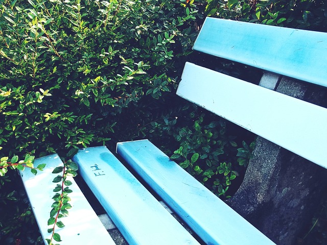 星团队或许 星团队或许