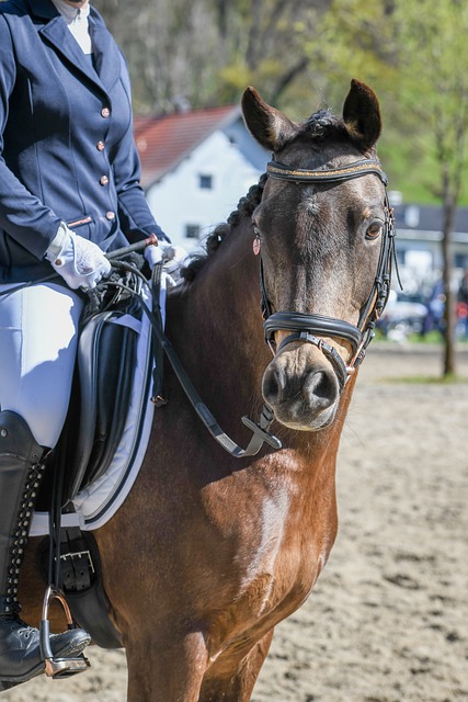 员虽然实力 员虽然实力